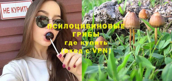 не бодяженный Алзамай