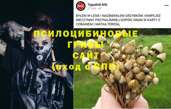 крисы Алексеевка