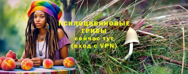 не бодяженный Алзамай