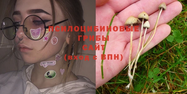 не бодяженный Алзамай