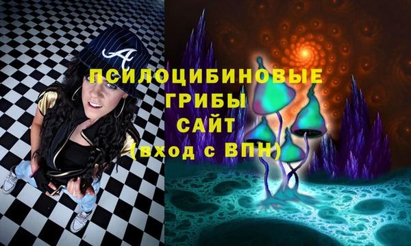 не бодяженный Алексин