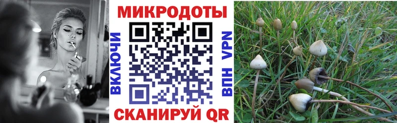 цена наркотик  Николаевск  Галлюциногенные грибы ЛСД 
